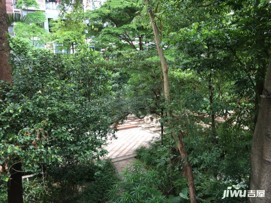 心江南实景图图片