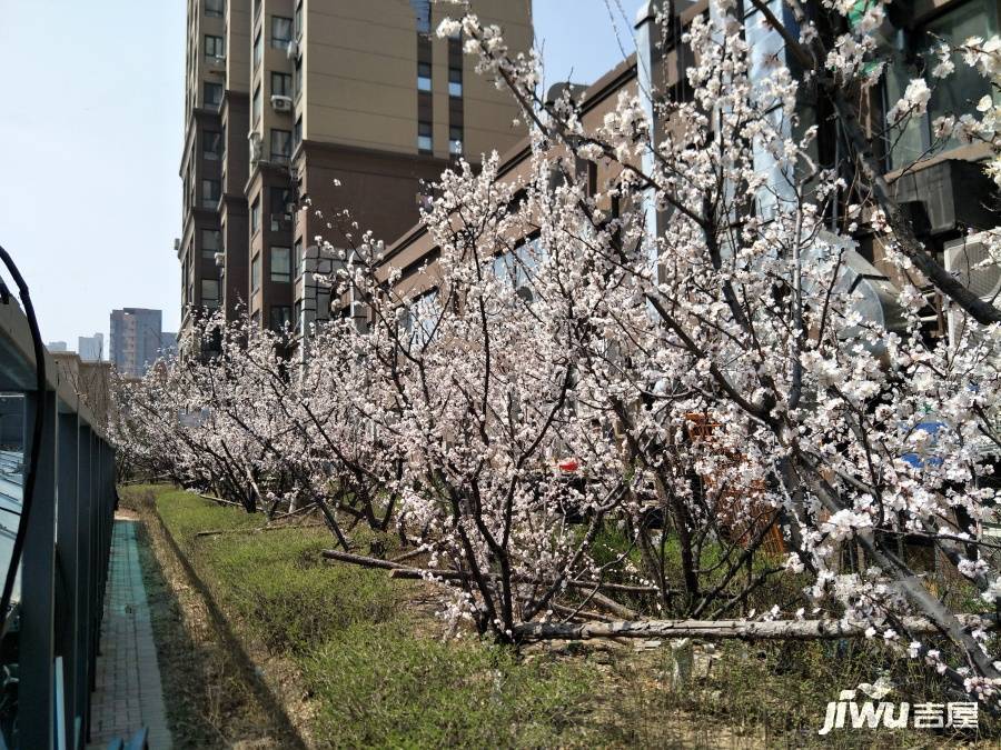 中海城瑞士郡实景图图片