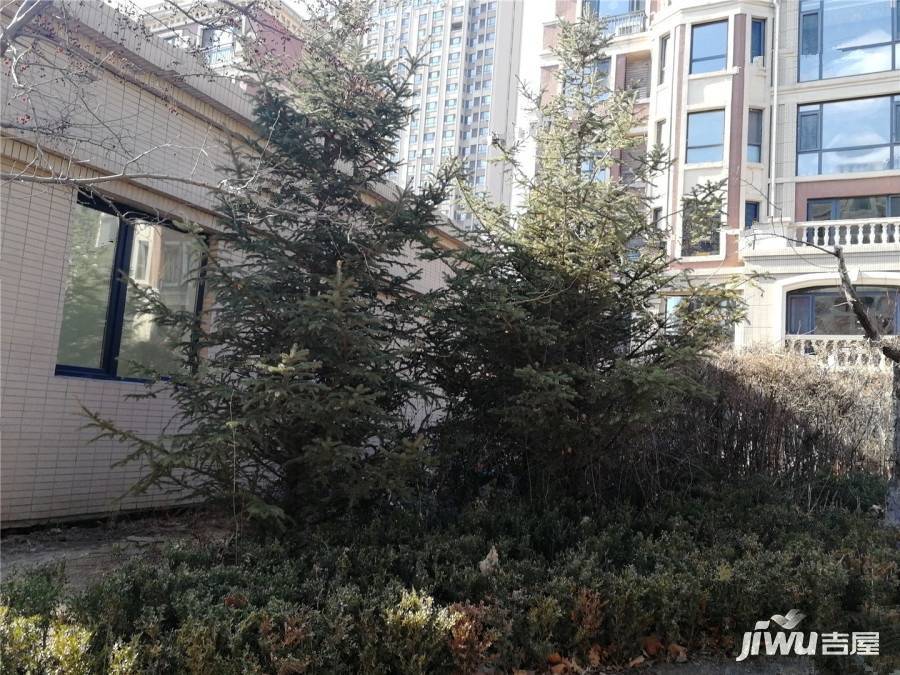 中海城五期实景图图片