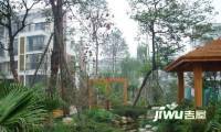 三鑫雨竹居实景图图片