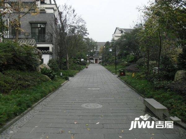 丽水青城桂院实景图图片