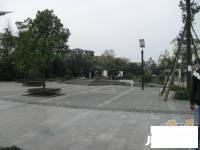 都江花园实景图图片