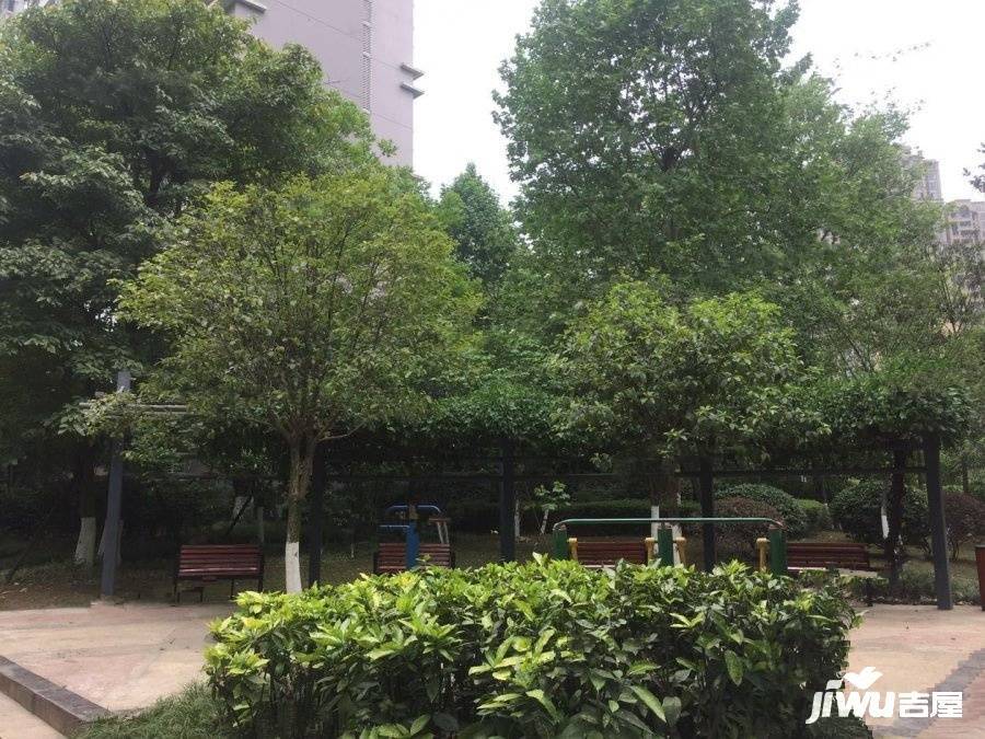 天府欣苑西区实景图图片