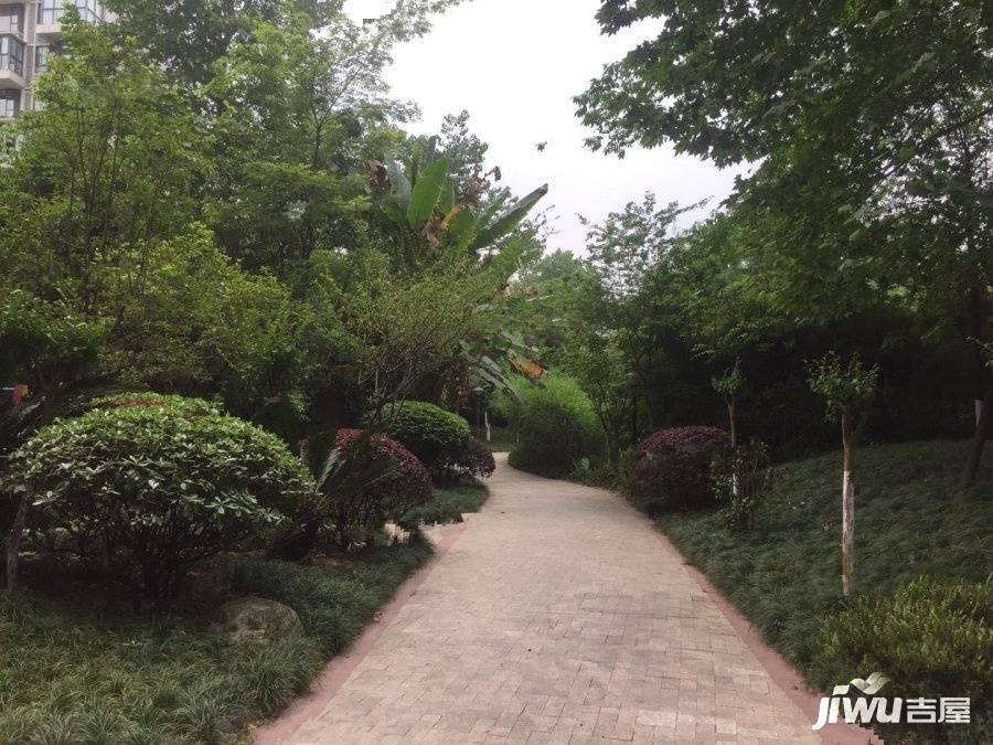 天府欣苑西区实景图图片