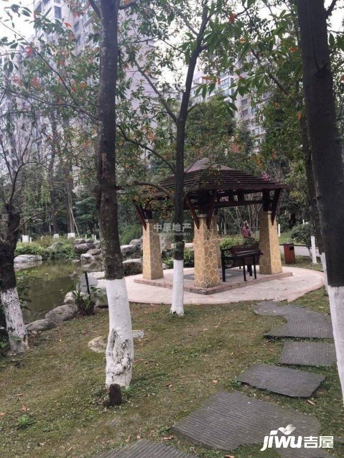 天府欣苑西区实景图图片