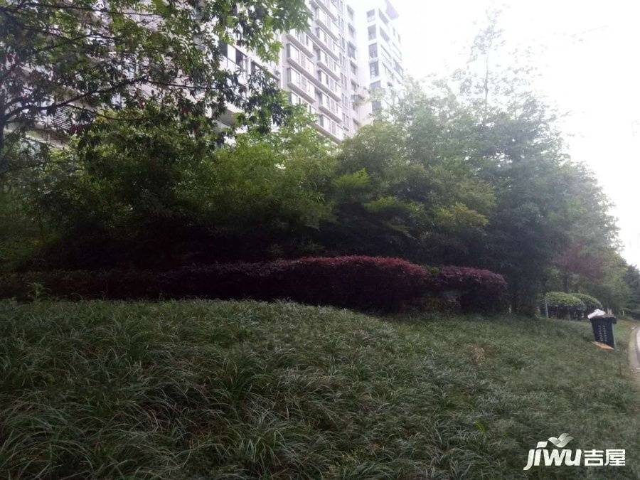 天府欣苑西区实景图图片