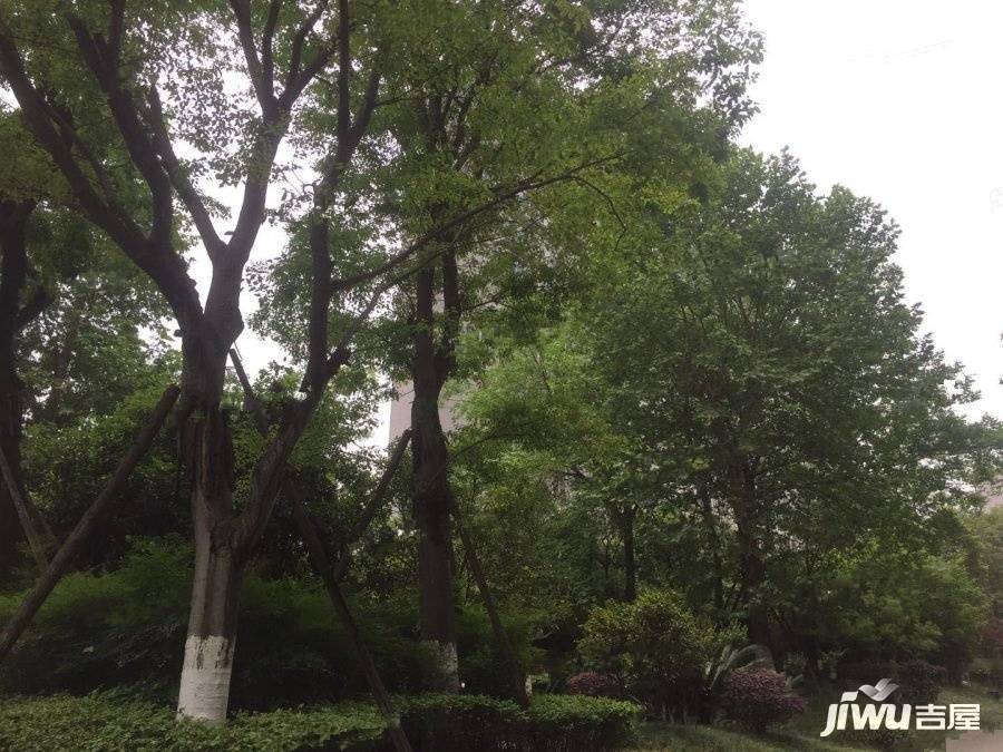 天府欣苑西区实景图图片