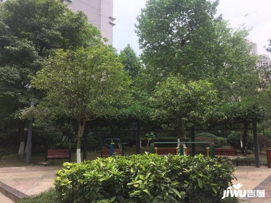 天府欣苑西区实景图图片