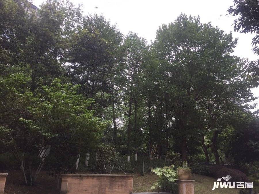 天府欣苑西区实景图图片