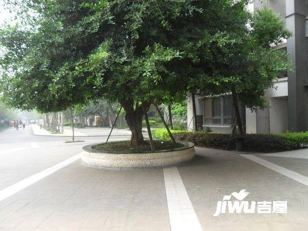 天下城实景图图片