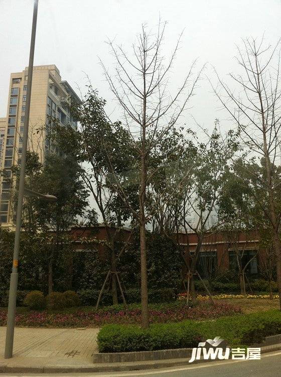 重庆天地雍江苑实景图图片