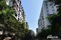 新坪村效果图