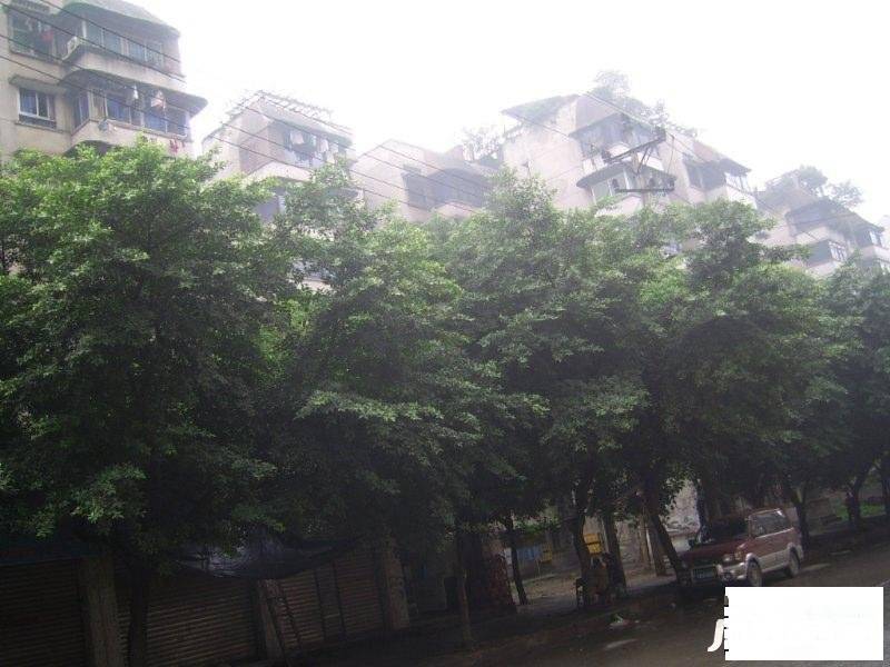 马王二村实景图图片