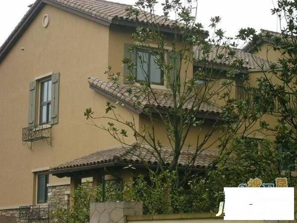 蓝湖半山实景图图片