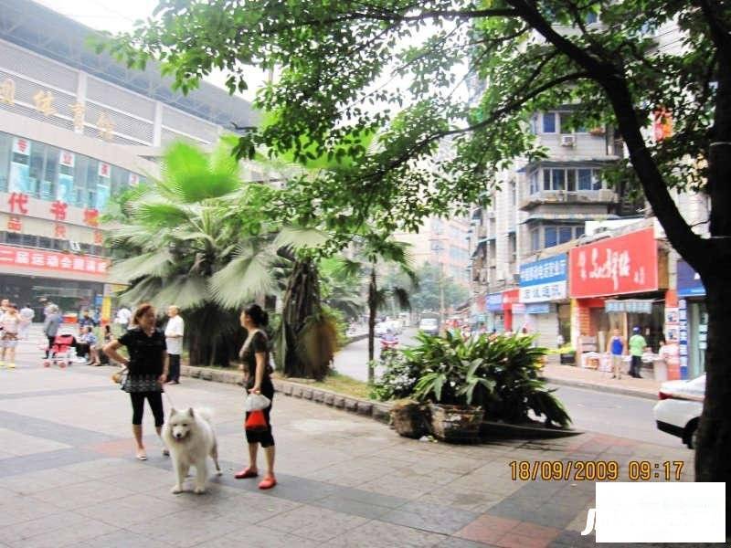 河嘉村实景图图片