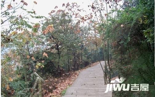 玉清寺协兴村实景图图片