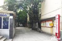 月亮田月华村效果图