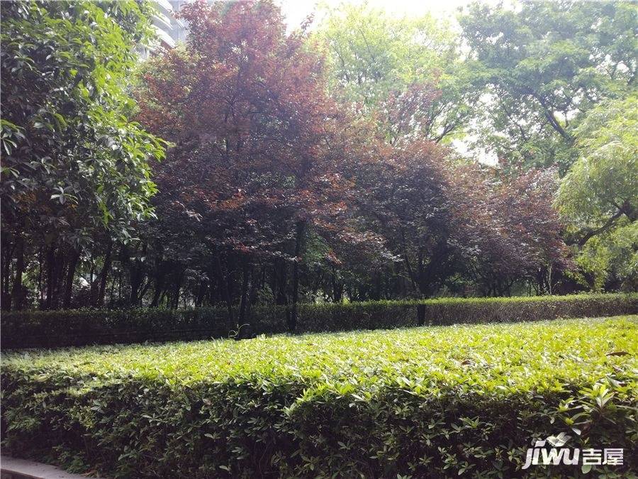 海棠晓月怡景天域实景图图片