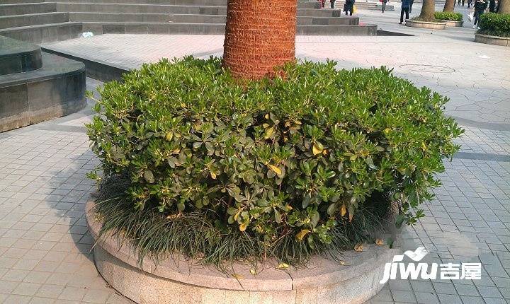 铁路二村实景图图片