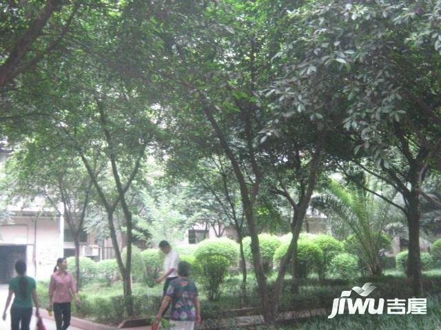 华福苑实景图图片