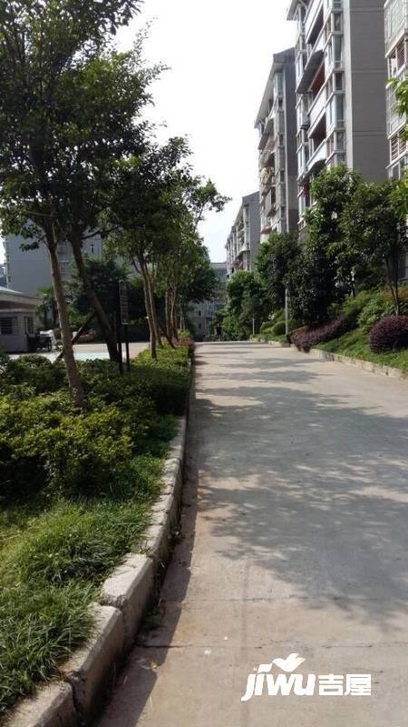 古镇二期实景图图片