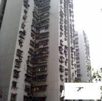 地母亭效果图