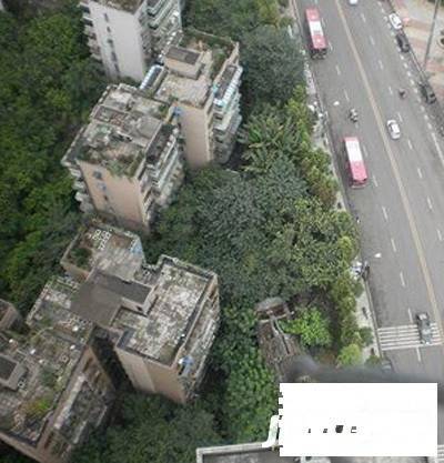 地母亭实景图图片