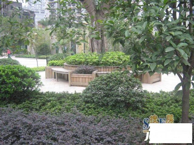 国宾豪庭幸福时光实景图图片