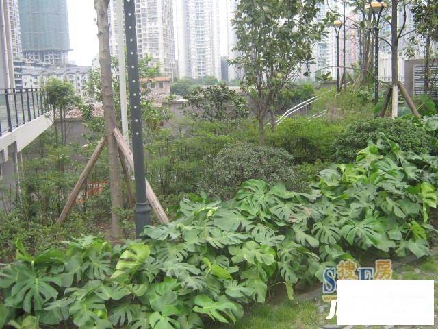 国宾豪庭幸福时光实景图图片