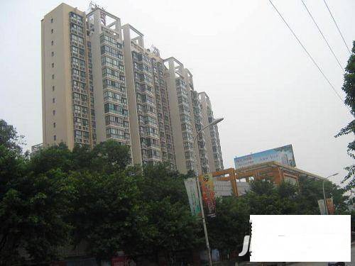 达美花苑实景图图片