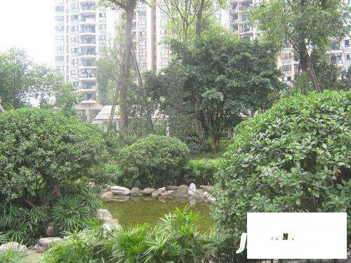 达美花苑实景图图片