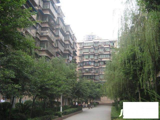 枇杷山正街小区