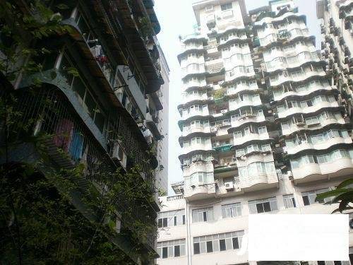 下罗家湾实景图图片