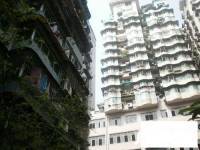 下罗家湾