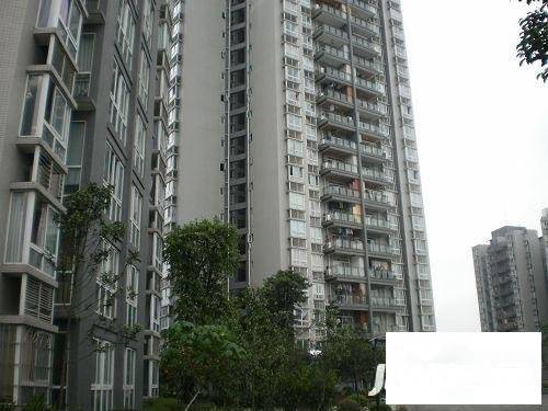 下罗家湾实景图图片
