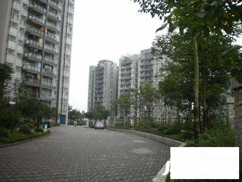 下罗家湾实景图图片