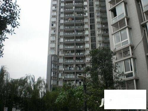 下罗家湾实景图图片