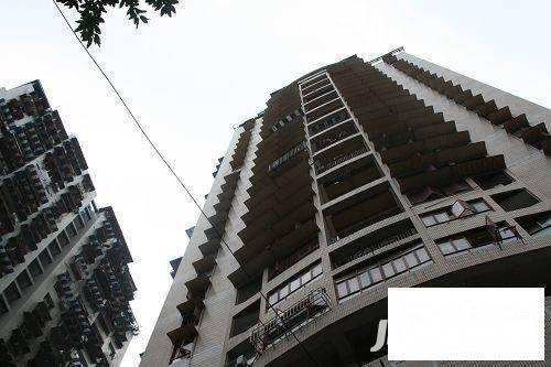胜利路实景图图片