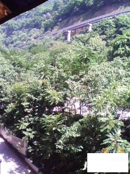 畔江楼实景图图片