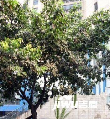 浪高凯悦大厦商住楼实景图图片