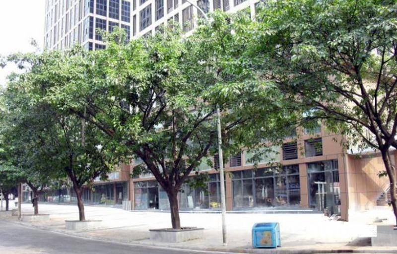 浪高凯悦大厦商住楼实景图图片