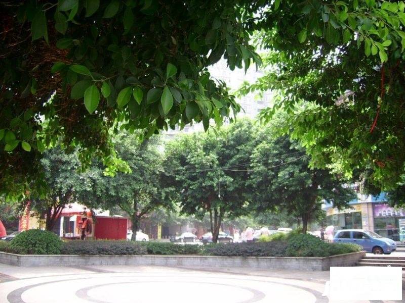 回龙兰湖天实景图图片
