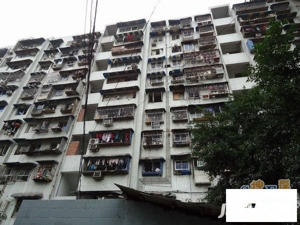 古楼一村实景图图片