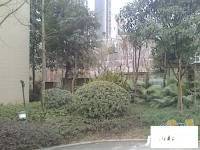 渝北区双龙大道小区效果图