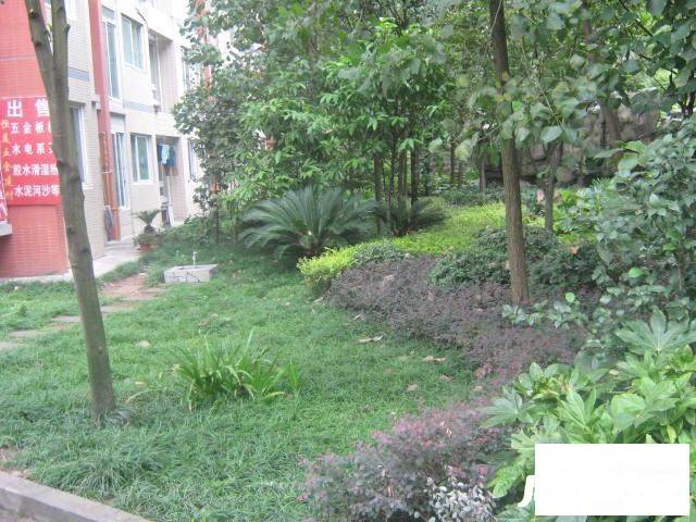 新科城花园实景图图片