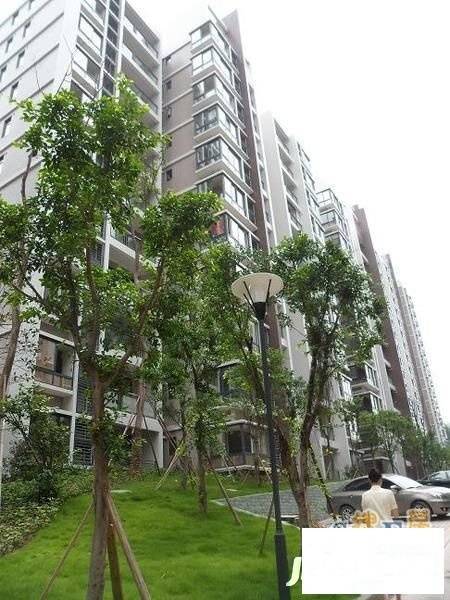幸福山房实景图图片