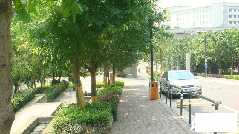 书香雅筑实景图图片