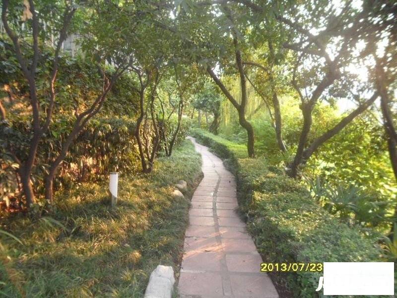 龙湖花园南苑实景图图片