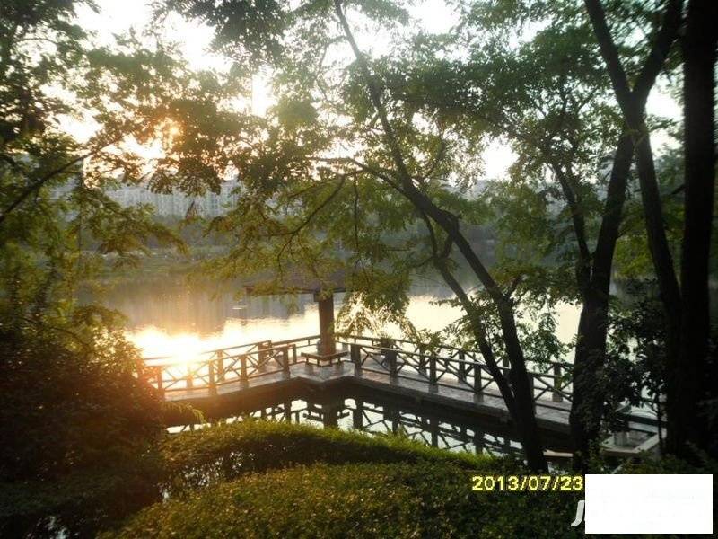 龙湖花园南苑实景图图片