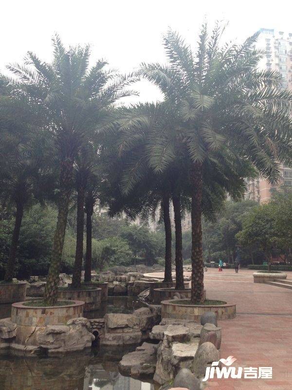 白鹤林小区高级住宅实景图图片
